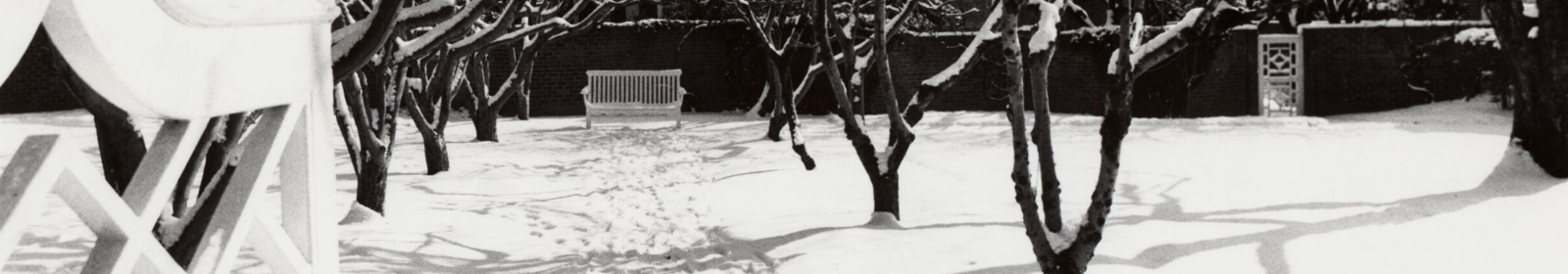 Detail of snowy garden, with criss-crossed gate and bench alongside trees