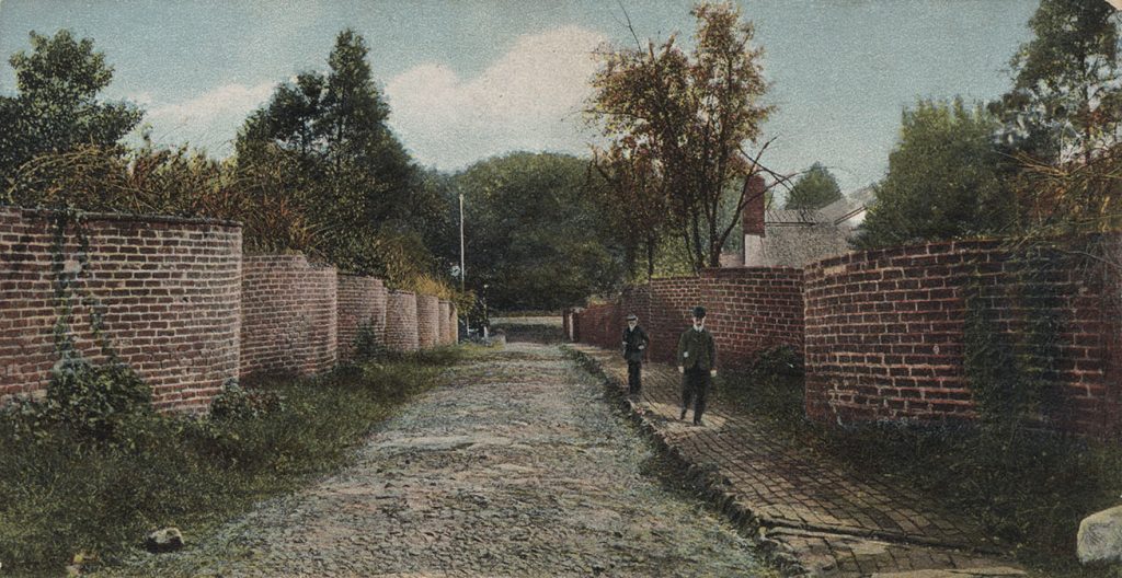 View of a lane between the high, red brick, serpentine walls at the University. Trees rise against the sky in the background.