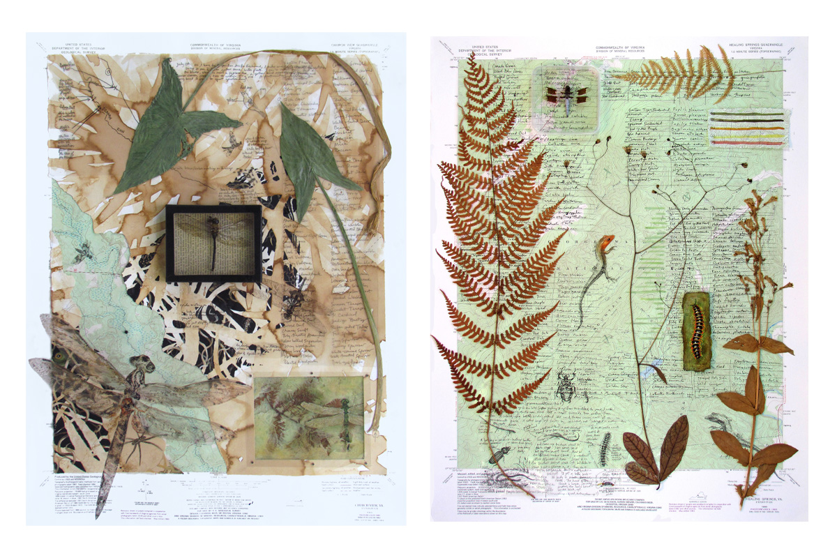 Two mixed-media art pieces featuring botanical elements and text on pale backgrounds. The left piece includes leaves, twigs, and a central black box with a grid on its lid. The right piece displays ferns, leaves, and an oval object with illustrative details, set against a background with additional textual elements.