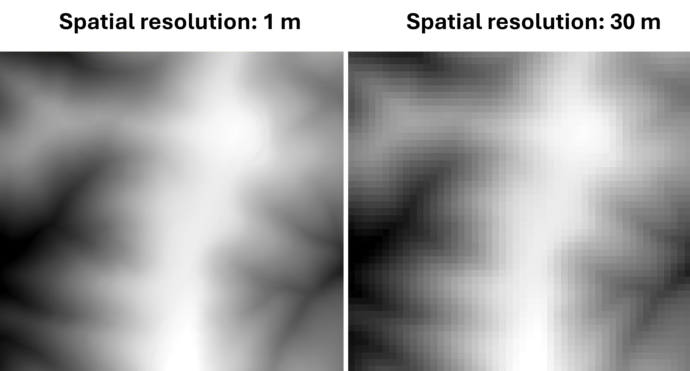 Two raster images of a mountain, one with 1 m resultion (left) and one with 30 m resolution (right)