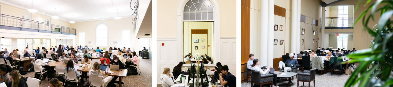 Three examples of study spaces in Brown