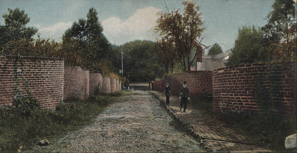 View of a lane between the high, red brick, serpentine walls at the University. Trees rise against the sky in the background.